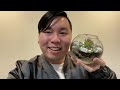 Making a Terrarium