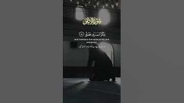 سورة الأعلى Ayat 14,15,16,17 #quran #ayatoftheday