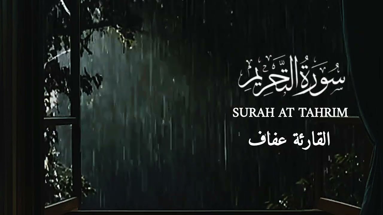 SURAH TAHRIM QORIAH AFAF سورة التحريم القارئة عفاف