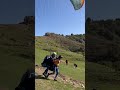 Paragliding in bir billing birbillingparagliding himachalpradesh shortsshare like