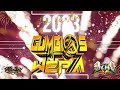   cumbia wepa mix 2023 cumbias editadas dj pucho mastermix 