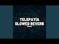 Telepata slowed reverb remix