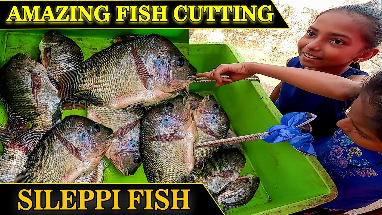 🔴 அழகா கட் பண்ணி குடுத்தாங்க 💯 Amazing fish cutting, Fish Cutting