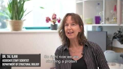 Favorite Spots and Hidden Gems on the Weizmann Institute of Science Campus #1