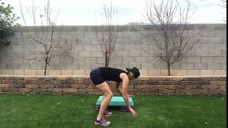 Donkey Kick to Burpee