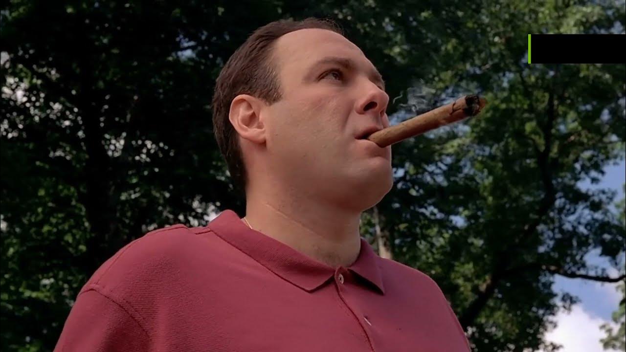 Tony's First Panic Attack Sopranos YouTube