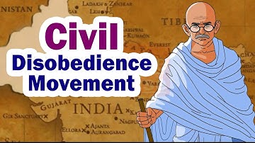 Class 8 | Civil Disobedience movement | History | Maharashtra Board | Home Revise