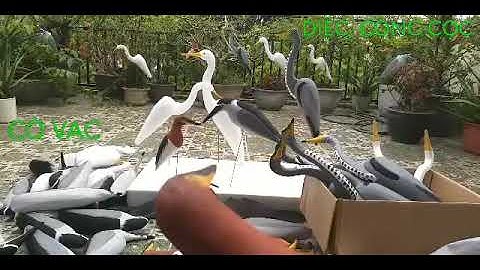 CÒ VẠC ,DIỆC ,CÒNG CỌC BẰNG XỐP DẺO ,XỐP CỨNG BỀN ĐẸP CHẤT LƯỢNG PHỤC VỤ AE LH :0904715570