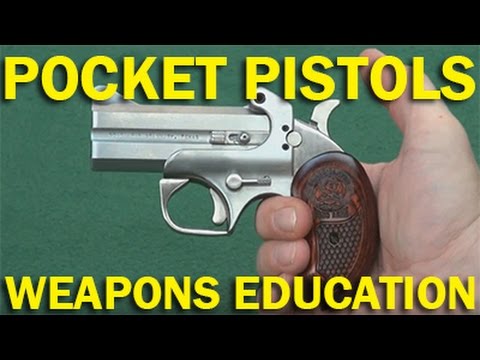 Pocket Pistols .380 to .44 Magnum! WeaponsEducation