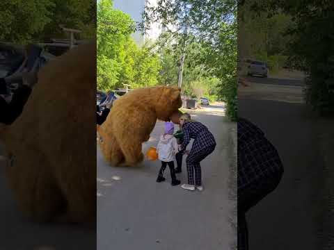 Тот самый Мишка из м/ф Маша и Медведь 🐻выбежал из-за угла 🎁 динамичные танцы от бурого медведя 🔥
