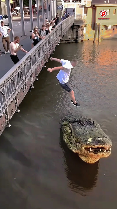 Jumping on the crocodile's back