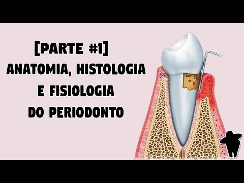 Vídeo: Mapa Odontológico E Periodontal: Objetivo E Procedimento