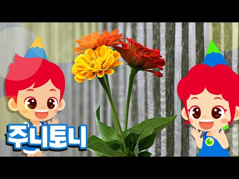 주니토니와 함께하는 가정의 달♥ | 5월의 동요 | 스승의 은혜 | 감사해요 선생님^^ | 스승의 날 | 선생님을 위한 노래 | 인성동요 | 주니토니 by 키즈캐슬