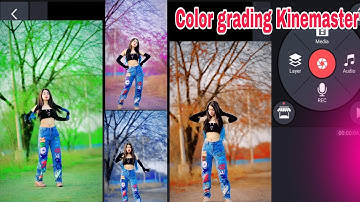 Video Color grading in Kinemaster | how to change video background color without Green Screen