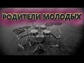 РОДИТЕЛИ МОЛОДЫХ