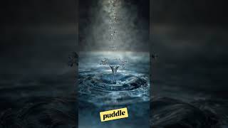 What If You Shrunk To Bug Size?