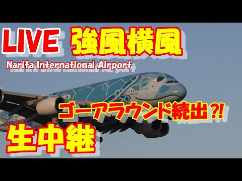 🔴LIVE at NARITA International Airport Plane Spotting　20256.01.13 成田空港ライブカメラ 成田空港　NRT/RJAA