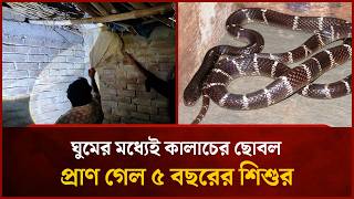 Kalach snake scares, bites in sleep | Mytv