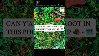👾 TRY TO #iSPYGROOT🪵⁉️ • #mothernature #marvelgames #marvel #memesvideo #memes #groot #ispy #games