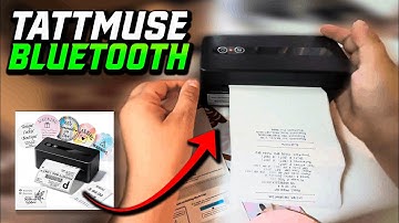 I Found the Best Label Printer for Small Business | TATTMUSE Review