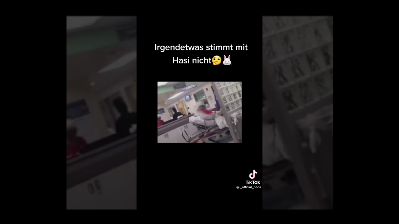Irgendwas Stimmt Mit Hasi Nicht Auto