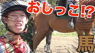 【悲報】スカイピース馬におしっこされる