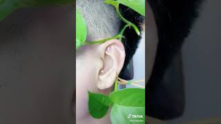 Ancient massage techniques from the East. Would you like to try it out? Hope you are interested