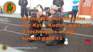 Ninjutsu, 4th Kyu, part 107 - 3 techniques using suwari gata #1