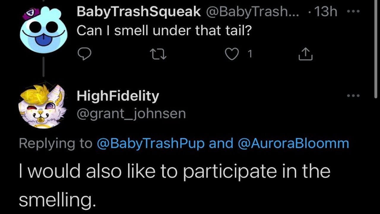 Why Do Furries 4 YouTube
