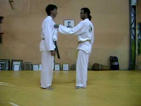 Kwan Ltus Hapkido - Golpes Faixa Branca (Peito, Le...