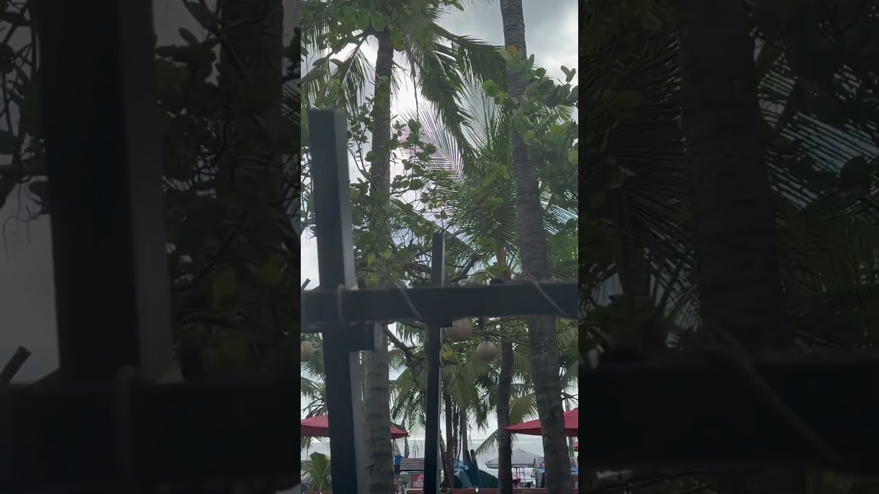 Cheeky squirrel! 😍 