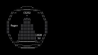CS252  Regex Explanation (Summer 2020) Wealth