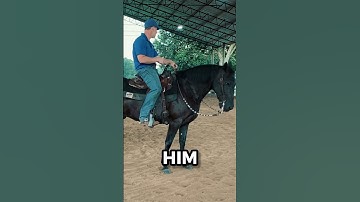 Refining Horse Pivots Made Easy