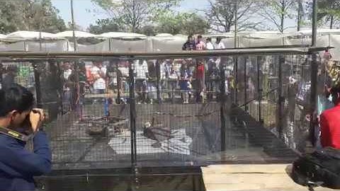 ROBO-WAR COMPETITION | IITBHU | TECHNEX