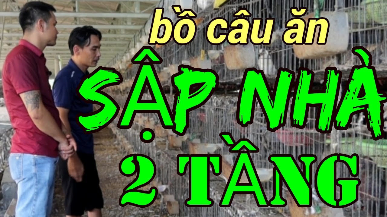 Th c n c a b c u ch y u l ti n v s youtube
