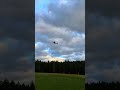 AJ Aircraft 68” 330SX