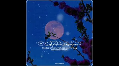 تلاوة خاشعة تريح القلب🌺القارئ🌷#هاني_الرفاعي🌙#سورة_الزمر مقاطع دينية قصيرة حالات واتساب🤲🏻🍂