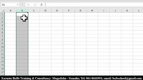 ExcelAcct2024 #2 Introduction to Excel, Af-Somali