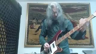 LE ORME Amico Di Ieri - Bass Cover
