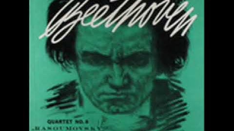 Ludwig Van Beethoven - String quartet no 8 op 59 no 2 in e minor - 1. Allegro
