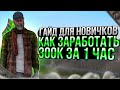 ГАЙД КАК ЗАРАБОТАТЬ НОВИЧКУ 400К ЗА 1 ЧАС! НА (RADMIRР RP) (1)