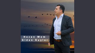 Giden Kuşlar Resimi