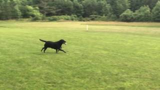 IMG 5468
