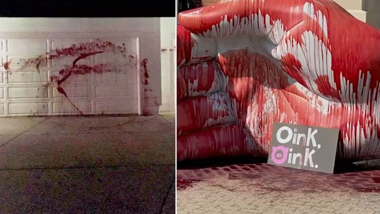 Defendants in Bay Area pig blood vandalism case back in court