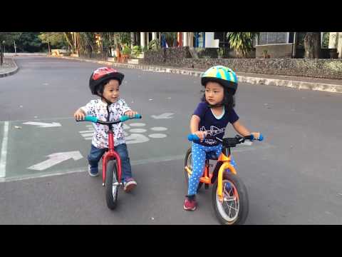 balance bike / push bike - toddler children playing together with their bike - belajar