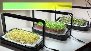 Indoor Microgreens Growing Kit Automated Full Spectrum LED Grow Lights With Seed Pads