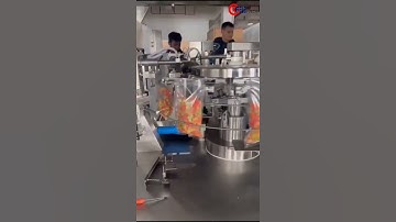 Automatic Rotary Pre-made bag fill and seal with 10 heads multi-head weigher and support platform