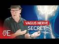 The Vagus Nerve Secret Every Singer Must Know! | #DrDan 🎤
