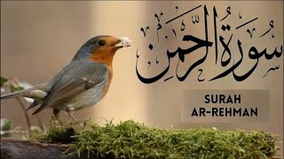 Surah Ar-Rahman (The Beneficent) | سورة الرحمن | Mishary Rashid Alafasy | Juz 27th