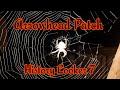Arrowhead Hunting Kentucky/Arrowhead Patch/October